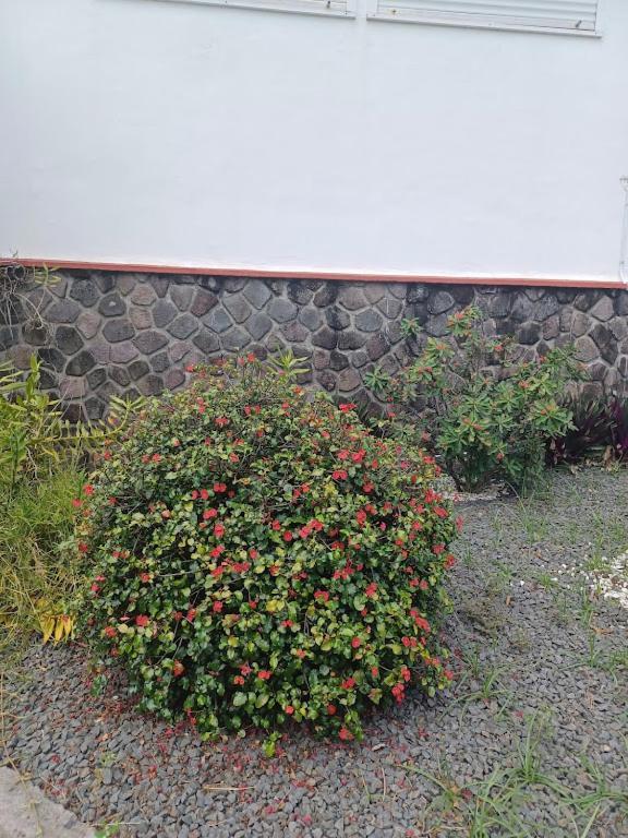Ti Bijou Villa Baie Mahault Eksteriør billede